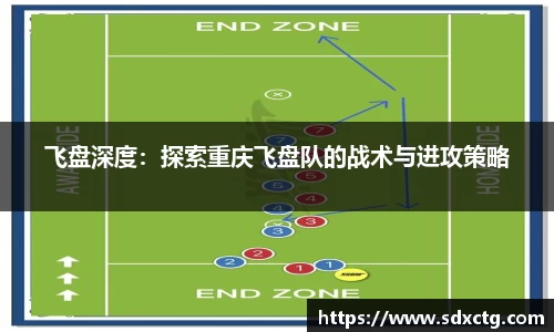 飞盘深度：探索重庆飞盘队的战术与进攻策略